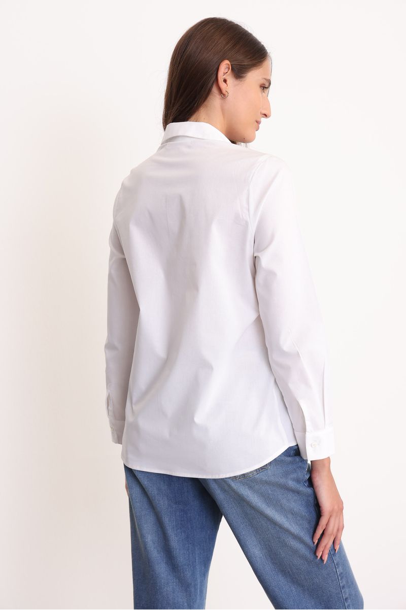 CAMISA-ELISA